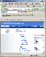 DocWallをPharmingした例