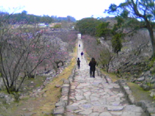 今帰仁遺跡