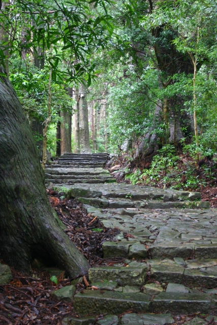 熊野古道