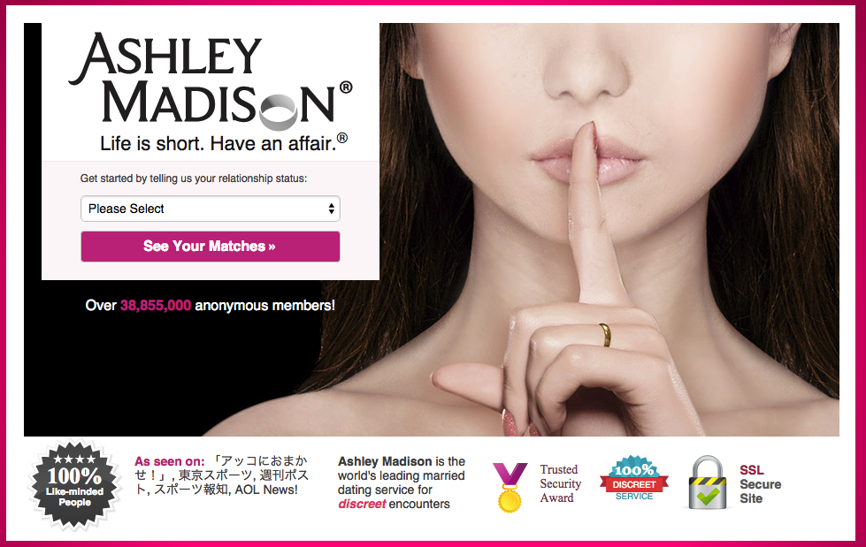 Ashley Madison Site Image